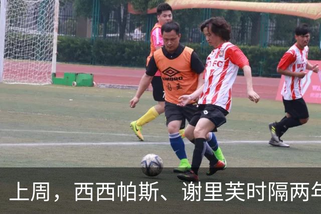 上周，西西帕斯、谢里芙时隔两年再夺冠，其他夺冠选手皆迎突破