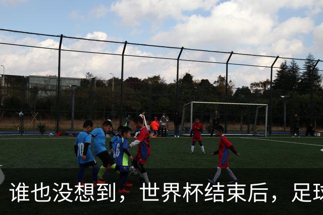 谁也没想到，世界杯结束后，足球巨星C罗已经走上另一条康庄大道